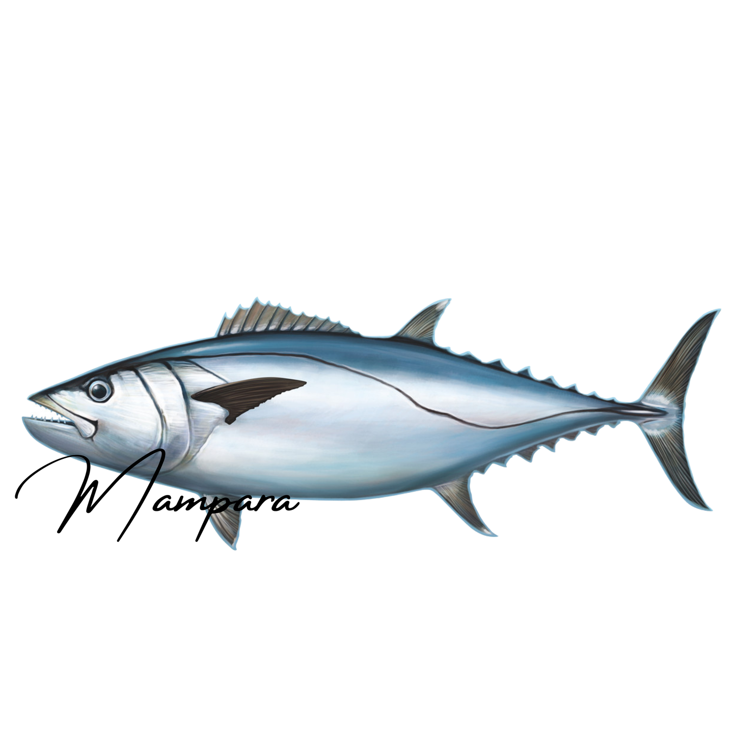 Dog Tooth Tuna Print mount 100cm