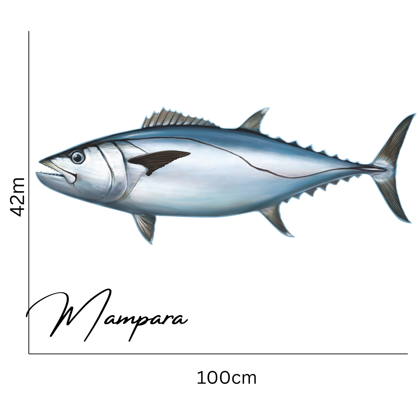 Dog Tooth Tuna Print mount 100cm
