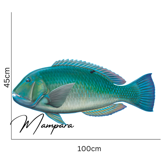 Black Spot Tusk Fish (Blue Version) Print mount 100cm in length