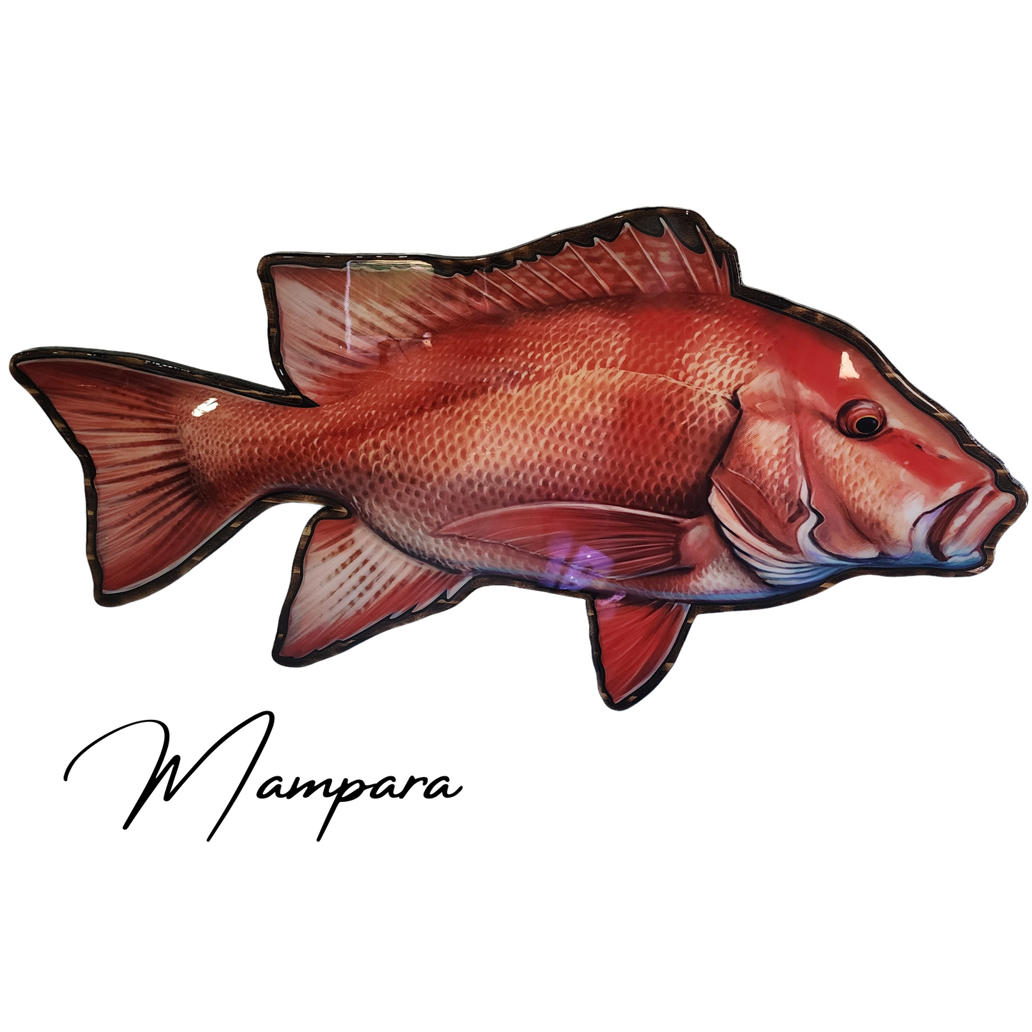 Red Emperor mount 85cm in length (right Facing)