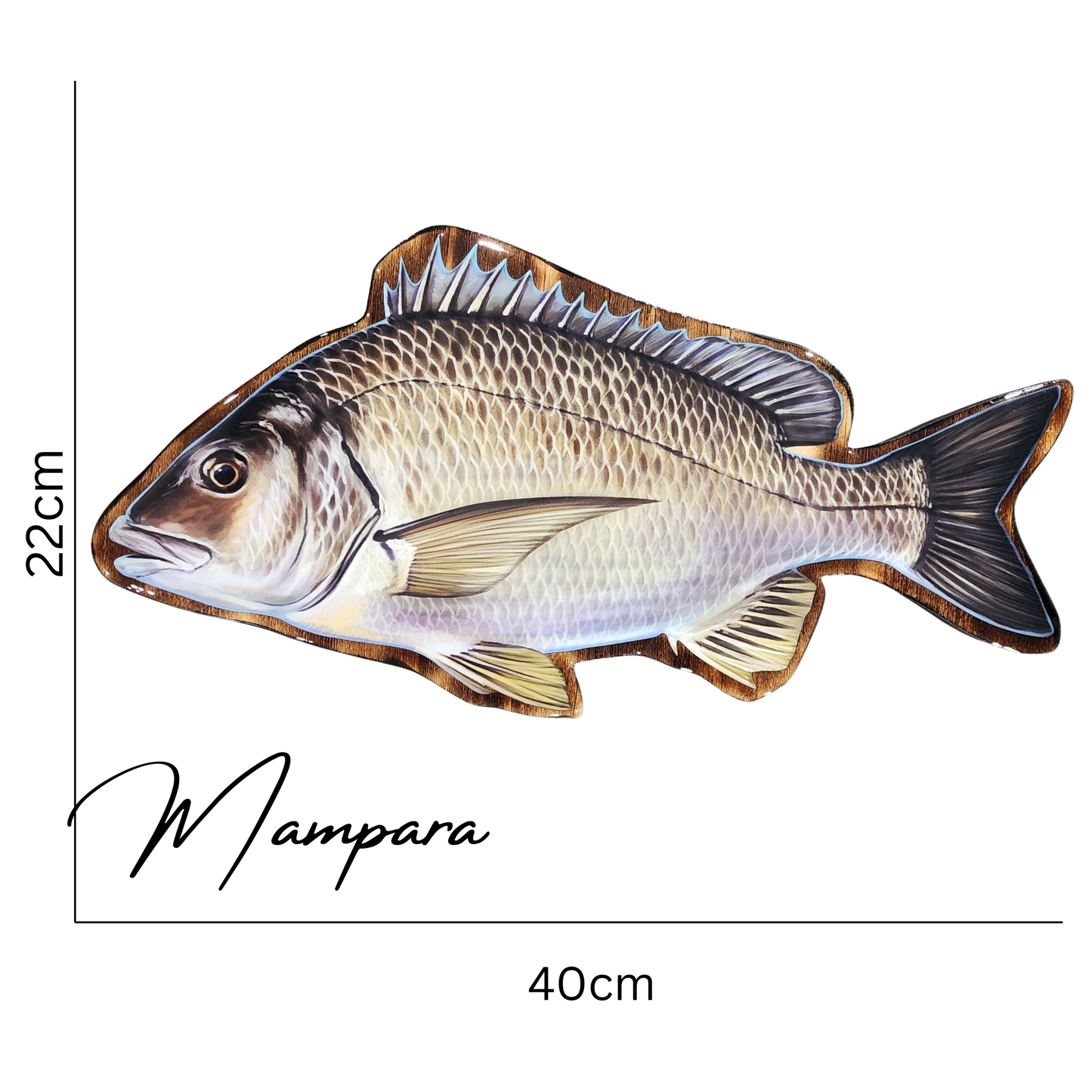 Yellowfin Bream Print mount 40cm