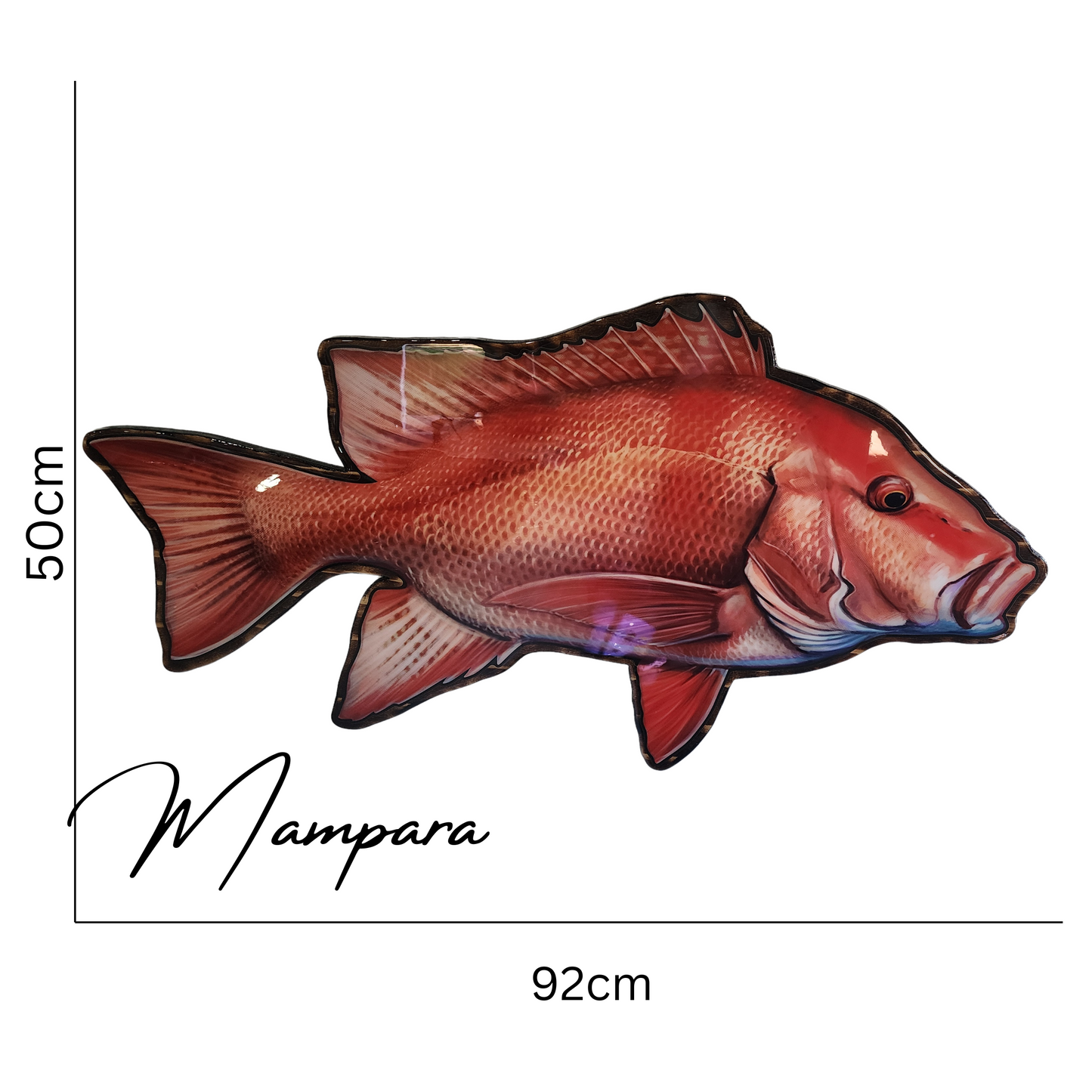 Red Emperor mount 85cm in length (right Facing)