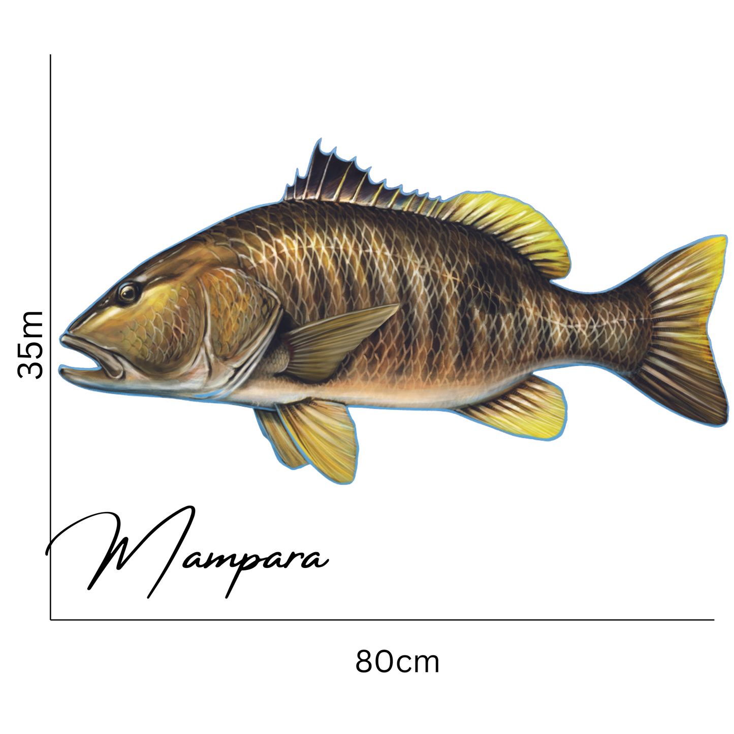 Spot Tail Bass print mount 80cm