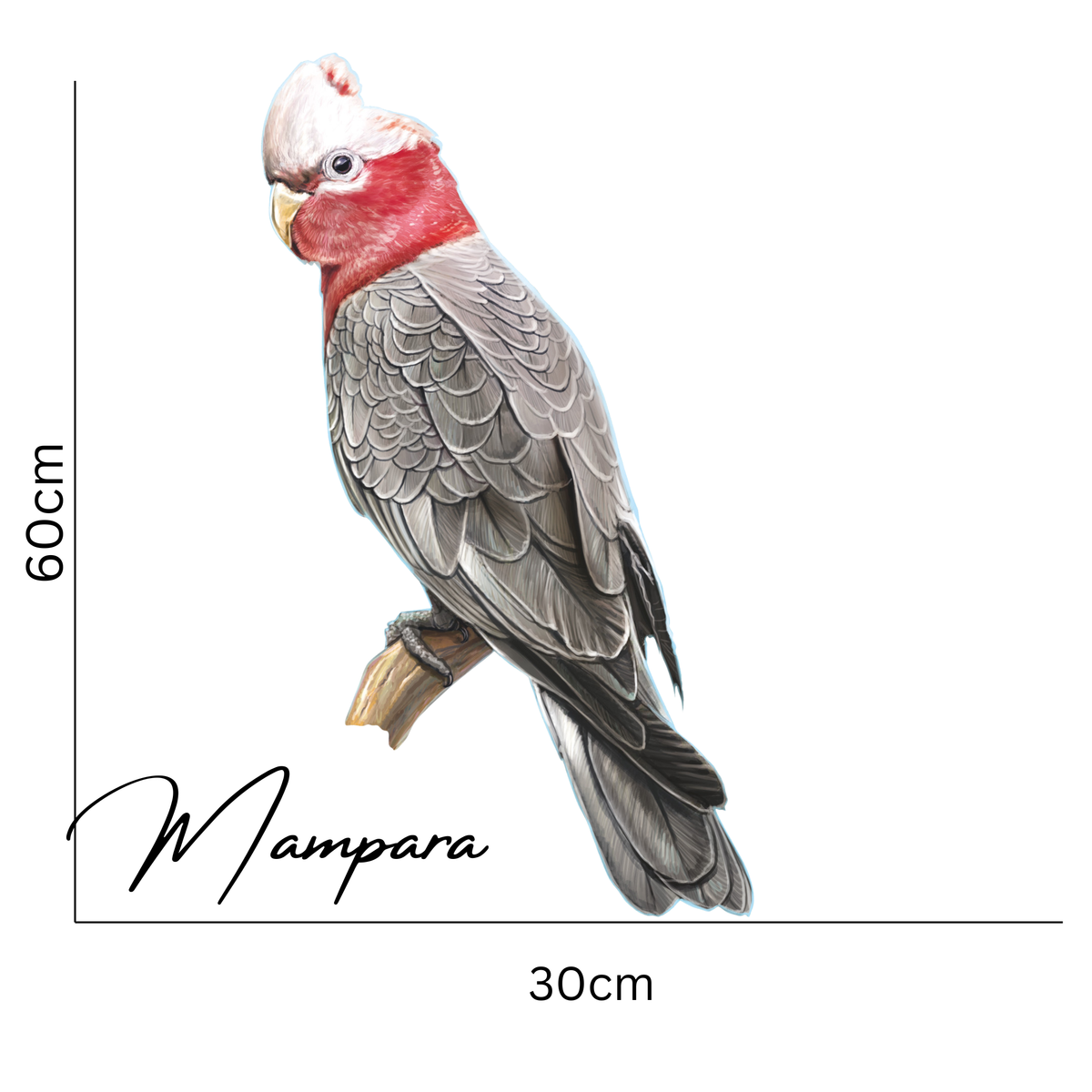 Galah print mount 60cm