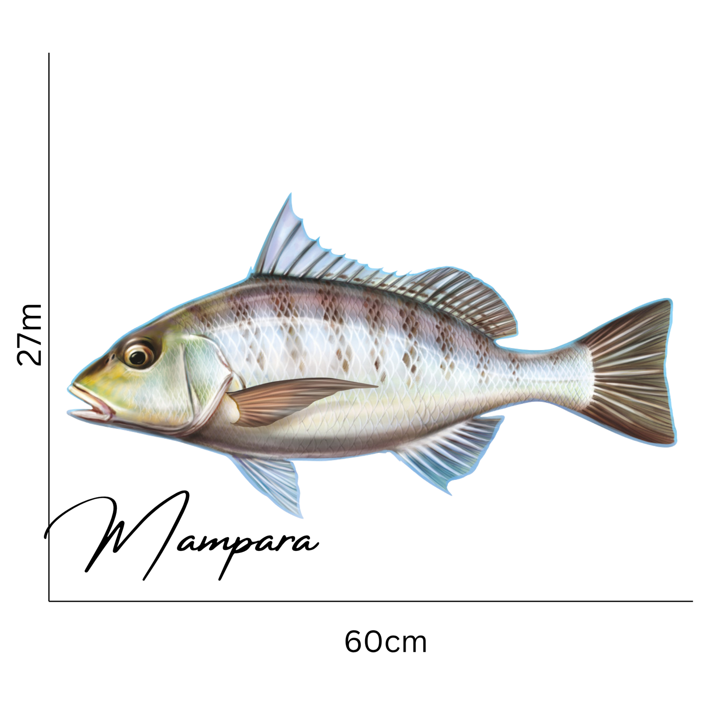 Grunter 60cm Print Mount