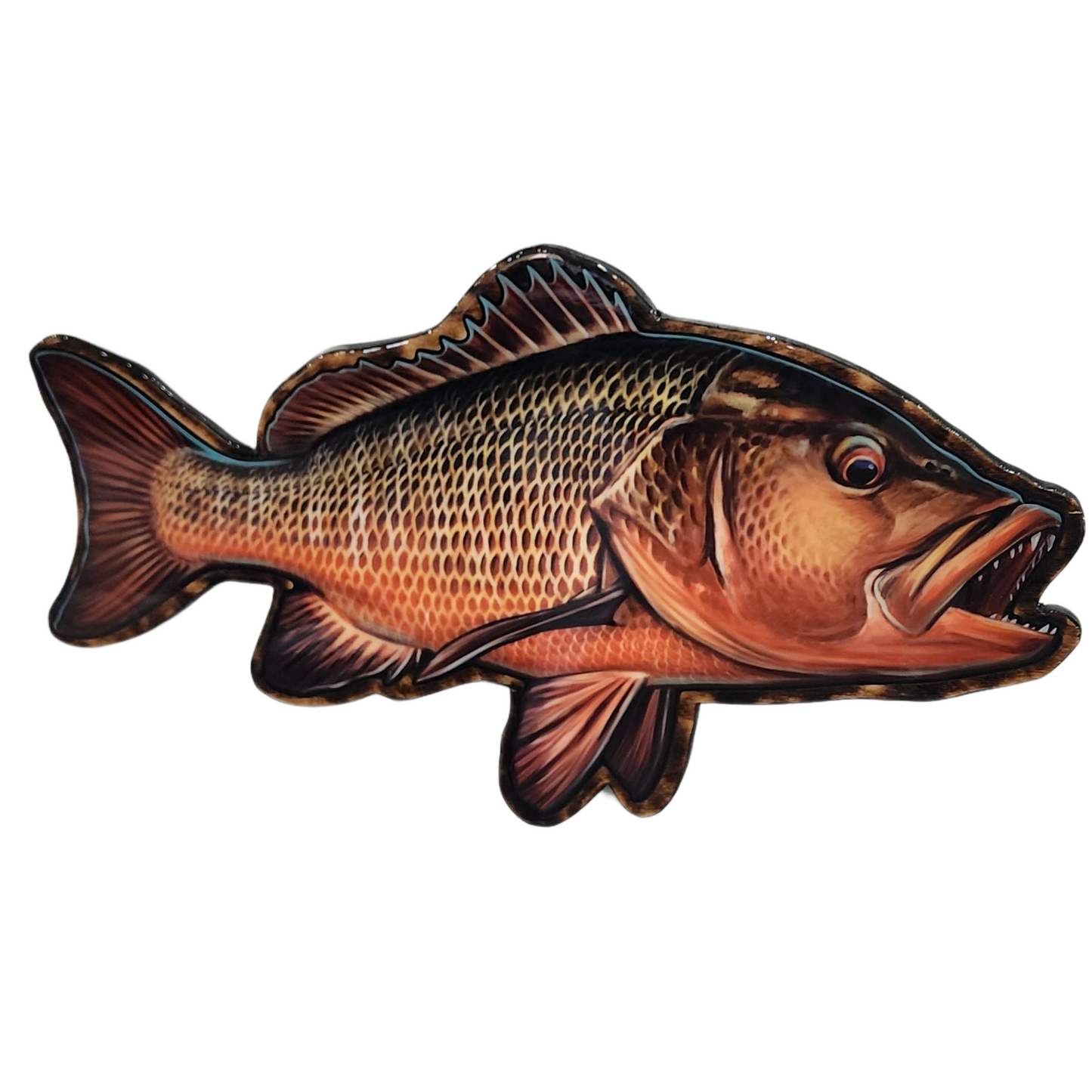 Mangrove Jack mount Large (Right Facing)