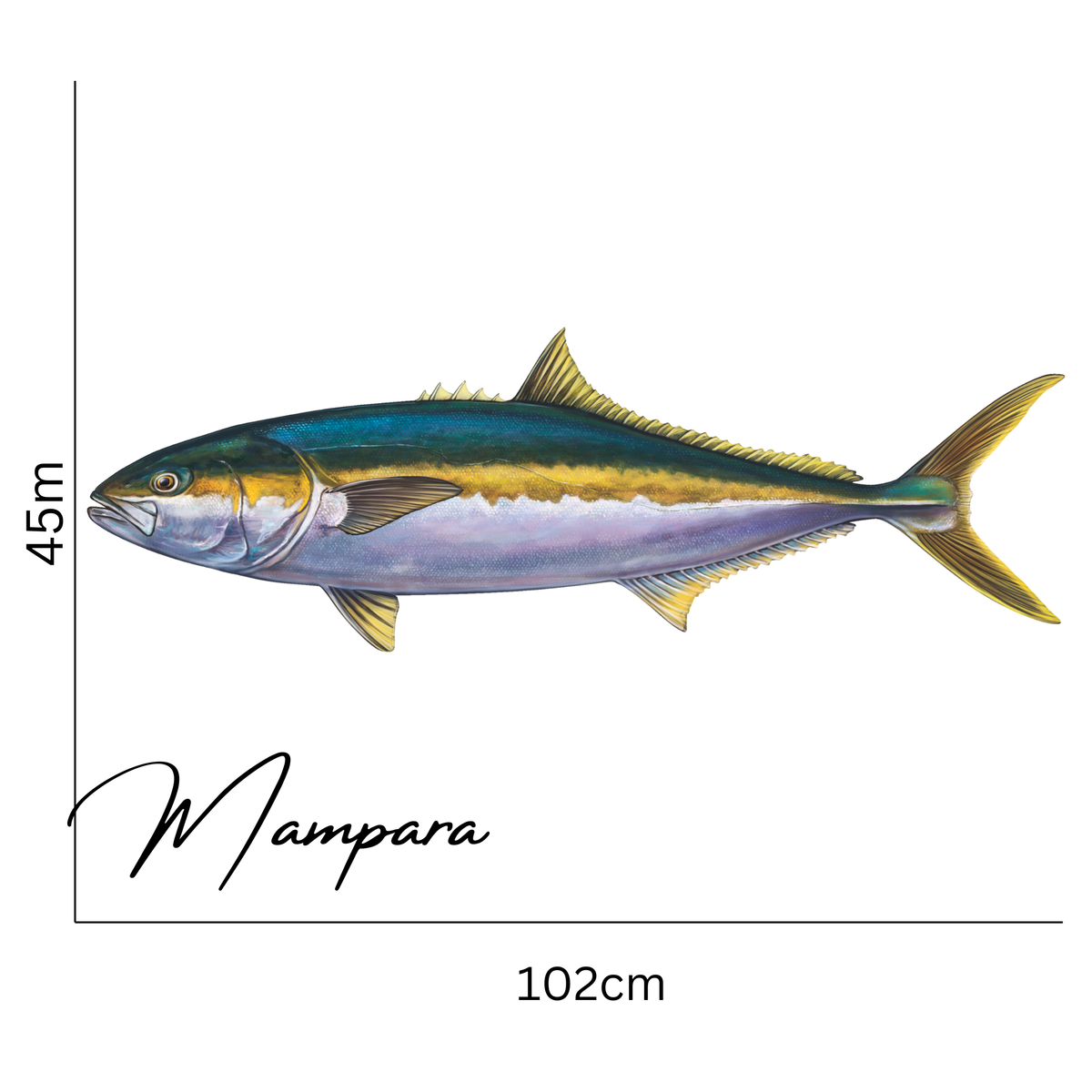 Yellow Tail Kingfish Print mount 100cm in length