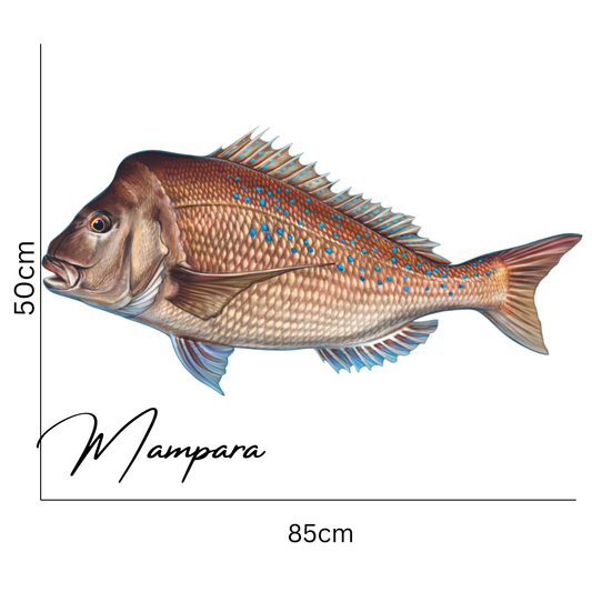 Snapper with Knobby head Print mount 85cm in length