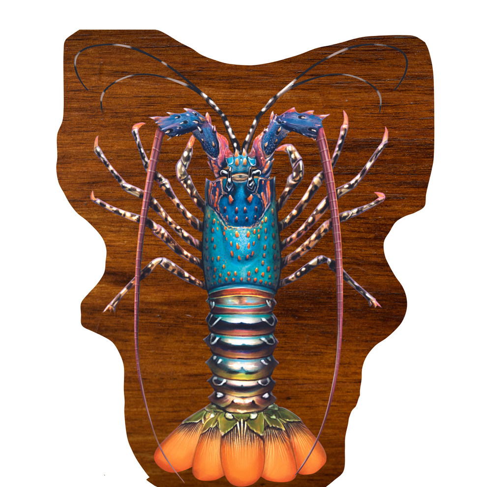 Ornate Lobster Print mount – Mampara .....Australian Print Mounts