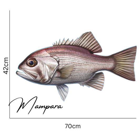 Pearl Perch 70cm Print Mount