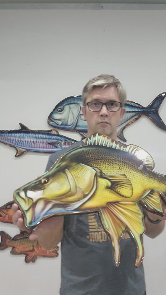 Yellow Belly turning 60cm Print mount