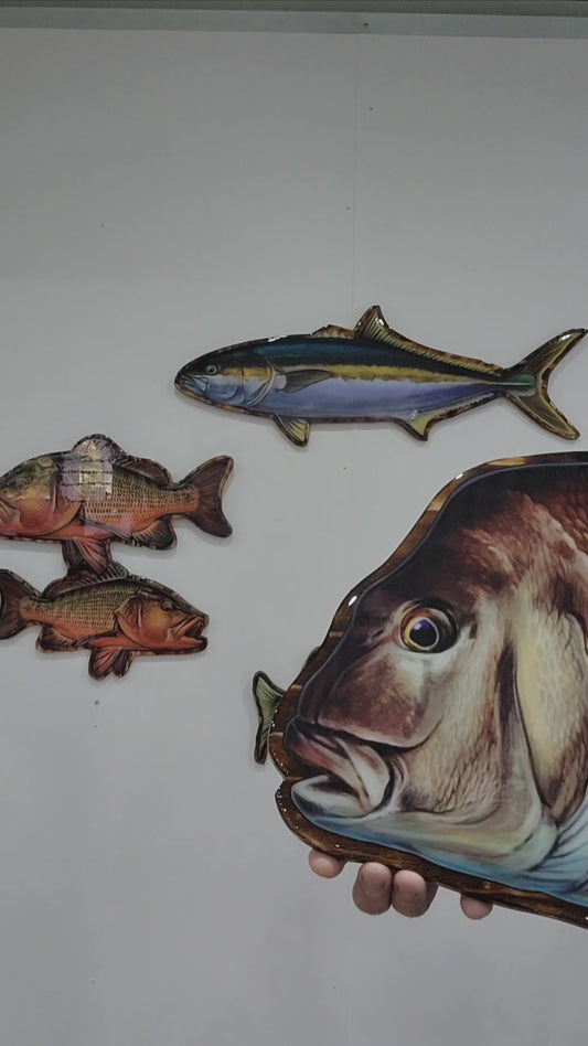 Snapper Print mount 85cm in length