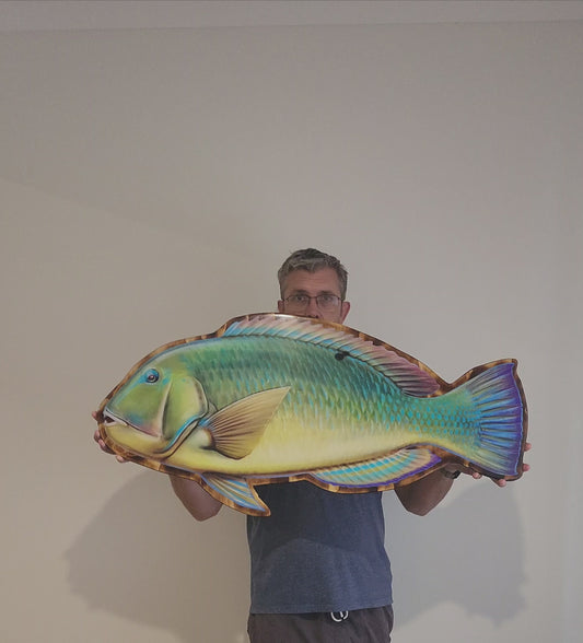 Black Spot Tusk Fish (Green Version) Print mount 100cm in length