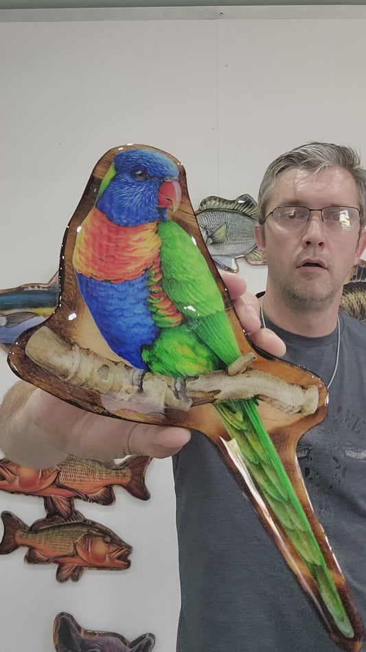 Rainbow Lorikeet print mount