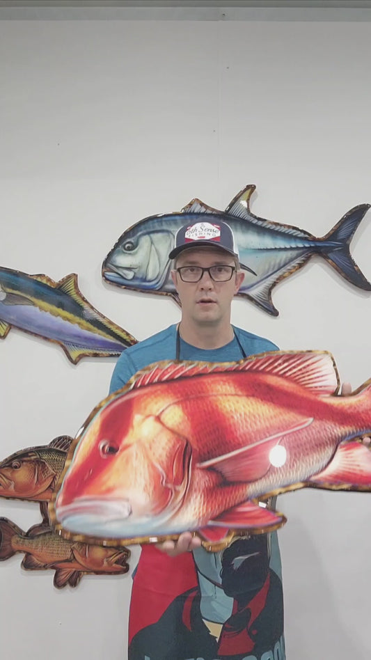 Red Emperor mount 85cm in length (left Facing)