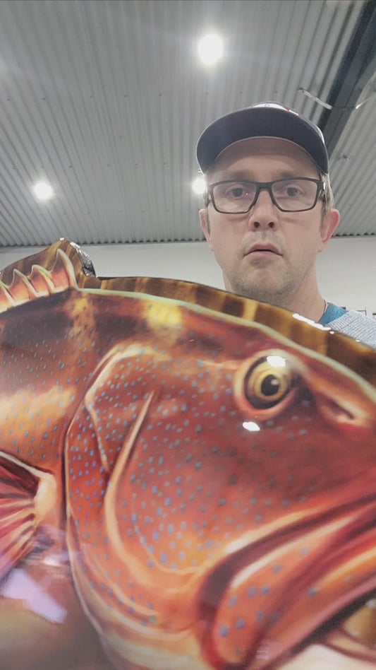 DINO TROUT Coral Trout Print mount 100cm