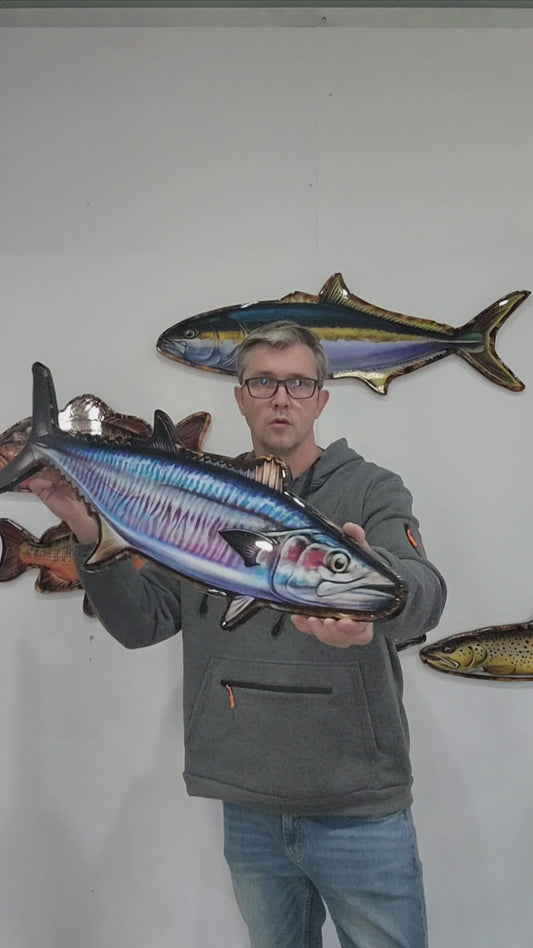 Spanish Mackerel closed Mouth Print mount 100cm in length