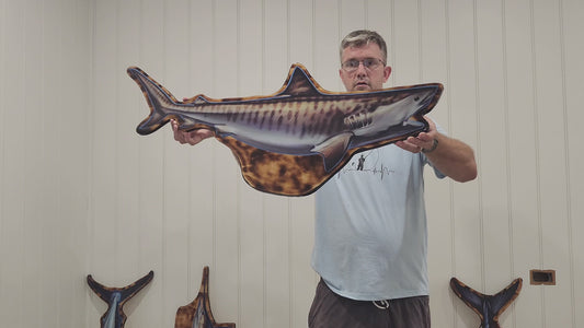 Tiger Shark Print Mount 100cm