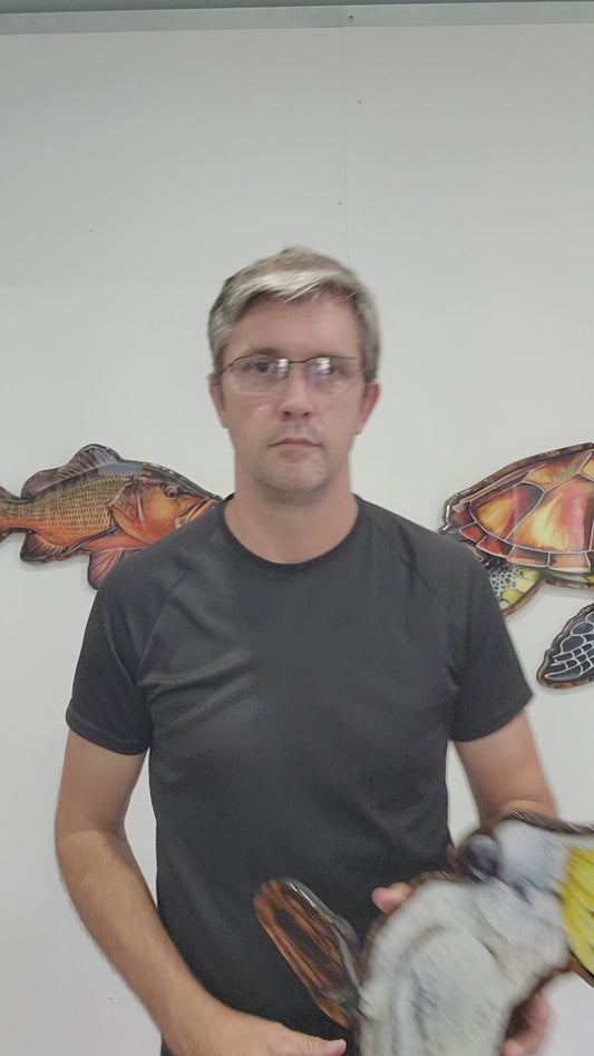 Sulphur Crested Cockatoo