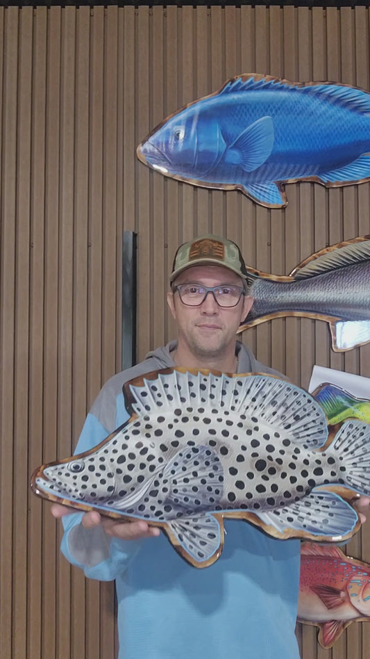 Barramundi Cod 60cm Print Mount
