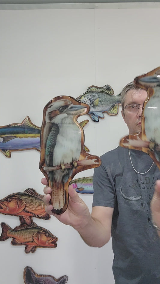 Kookaburra print mount