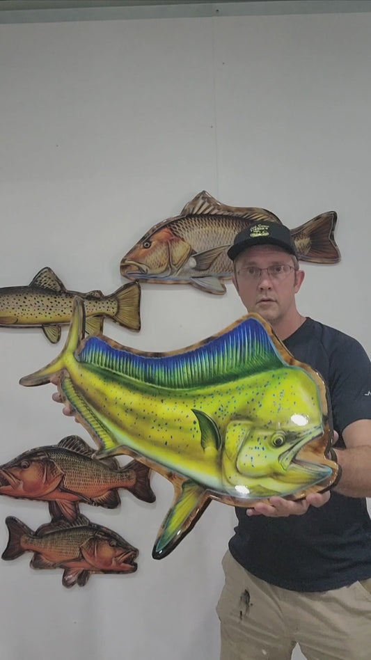 Mahi Mahi Bull Print mount 100cm