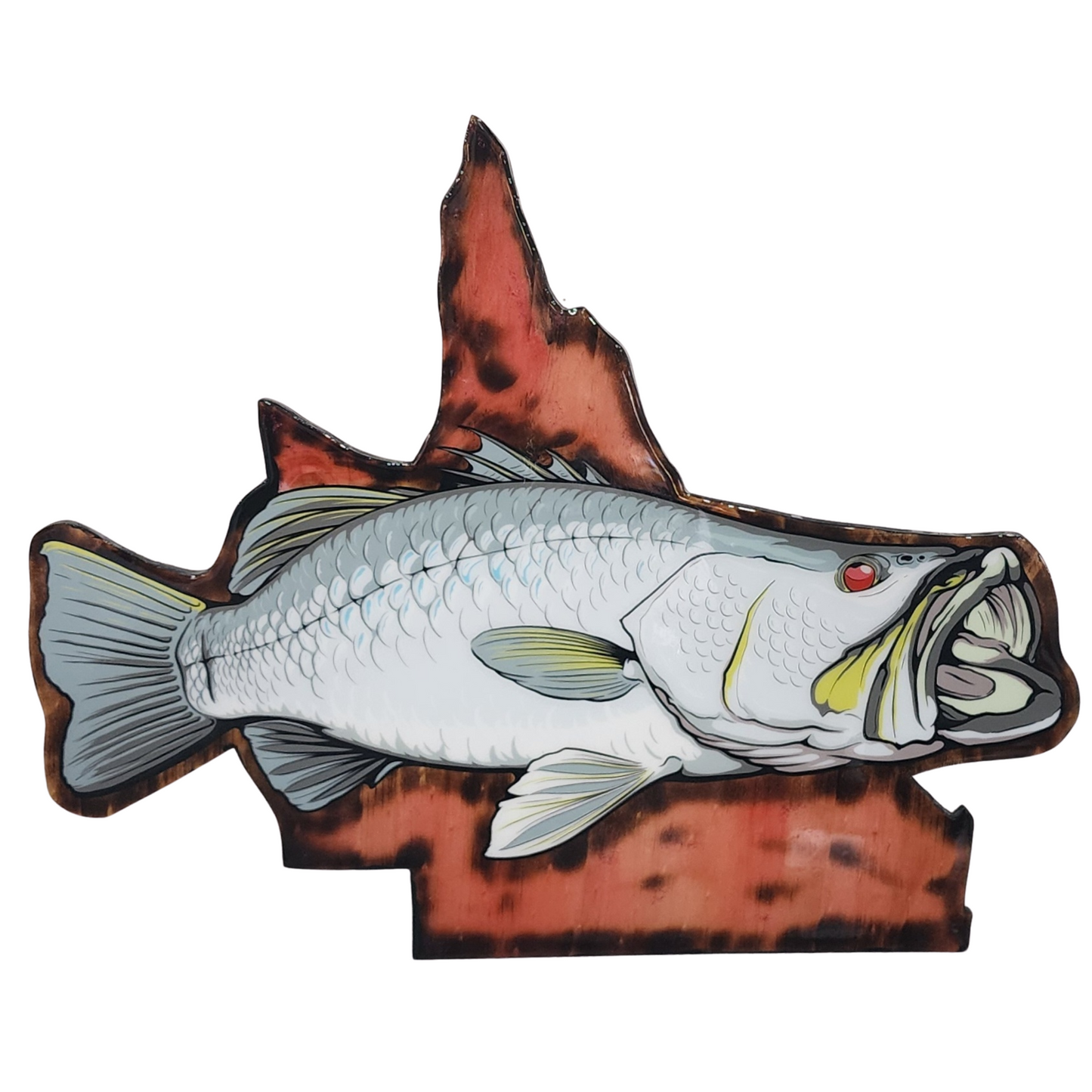 Barra on QLD Print mount 70cm in length (Right Facing)