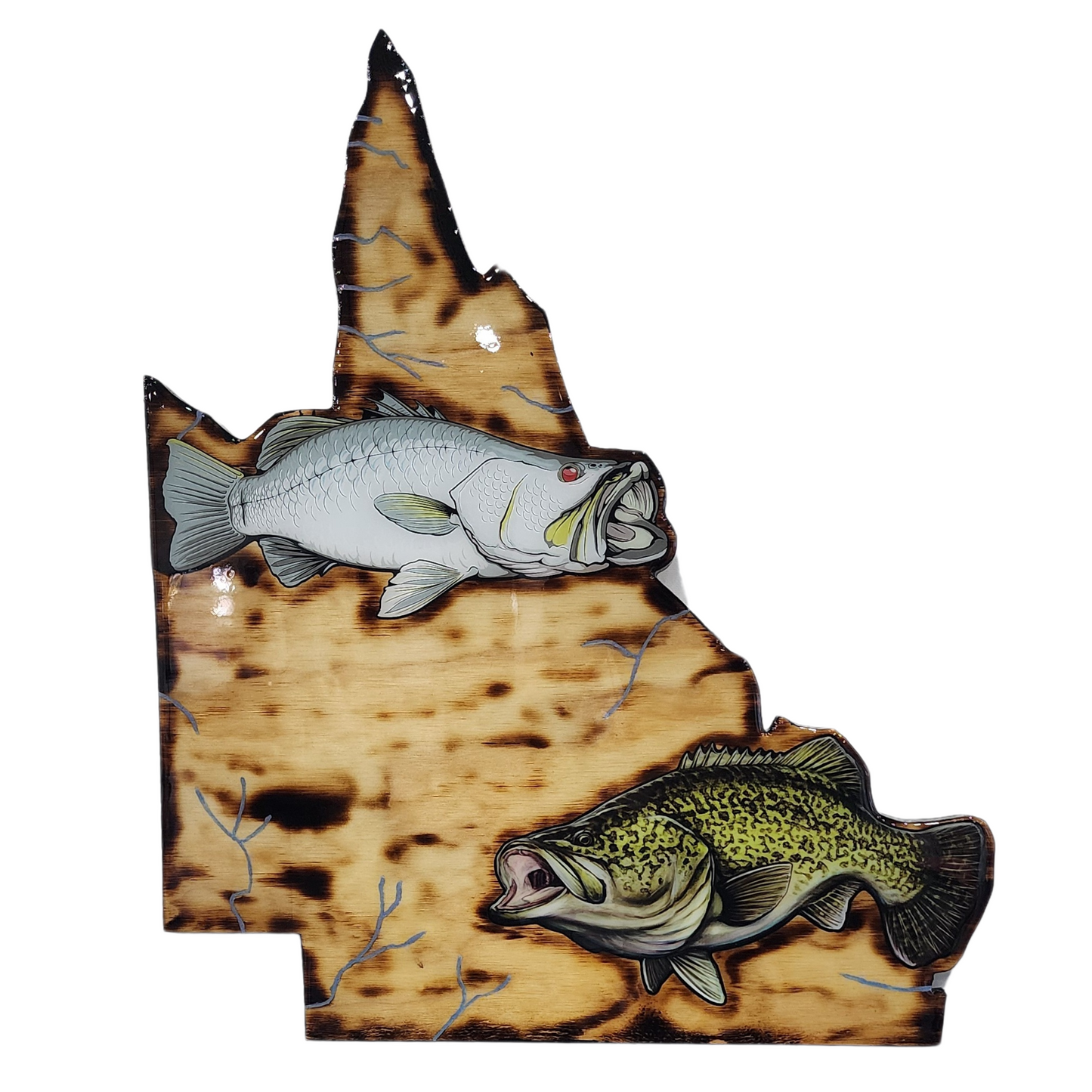 "Qld Icons" Barra & Cod