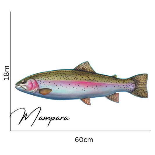 Rainbow Trout Print mount 60cm