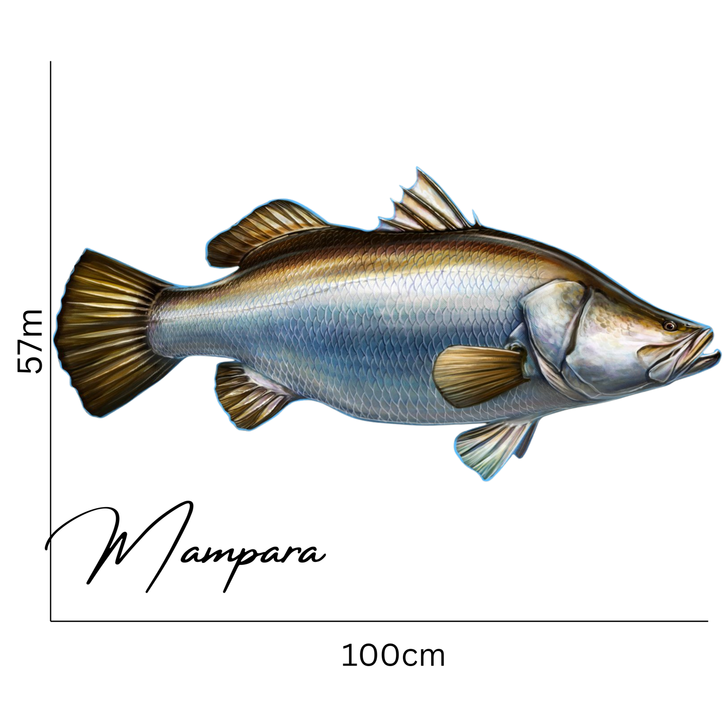 Barramundi XXL Realistic design Print mount 100cm in length