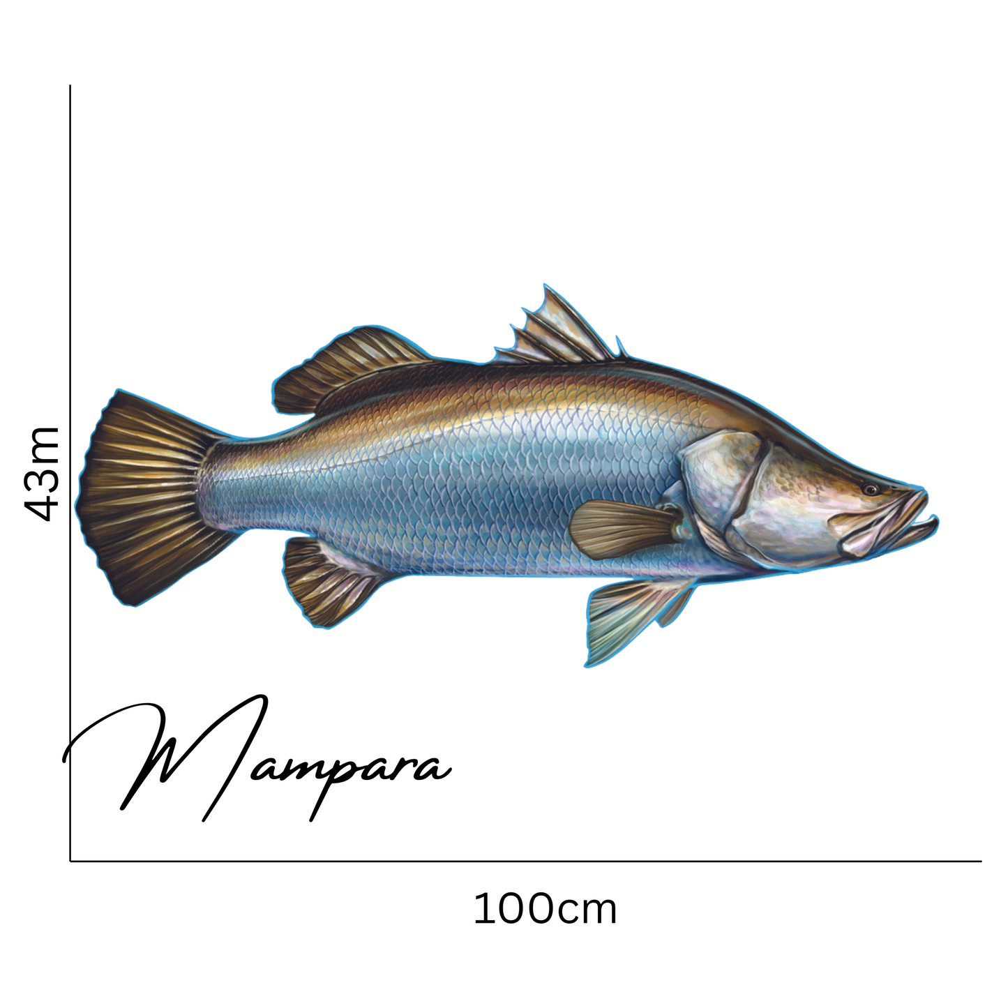 Barramundi Realistic design Print mount 100cm in length