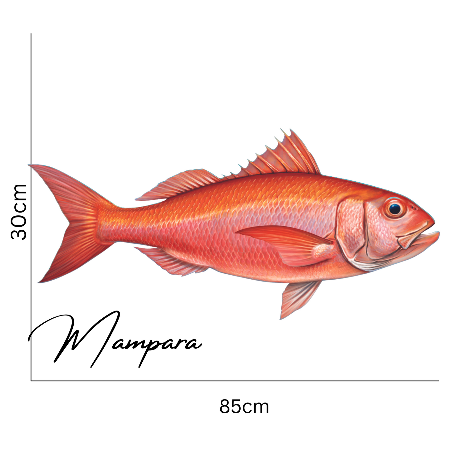 Rubyfish Print mount 85cm