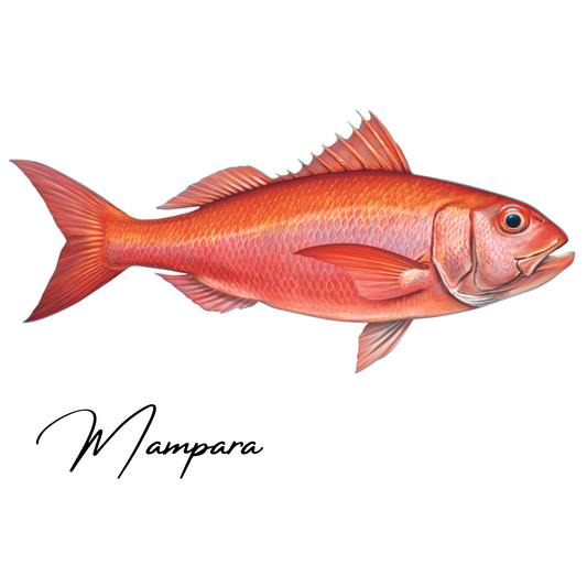 Rubyfish Print mount 85cm