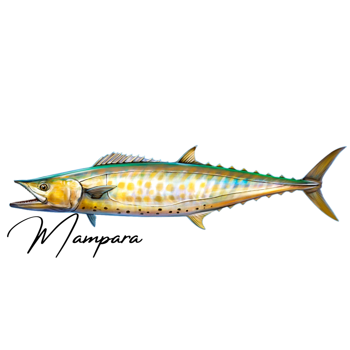 Shark Mackerel Print mount 80cm