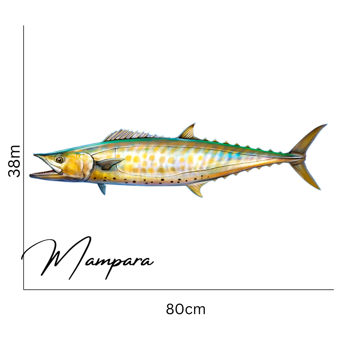 Shark Mackerel Print mount 80cm