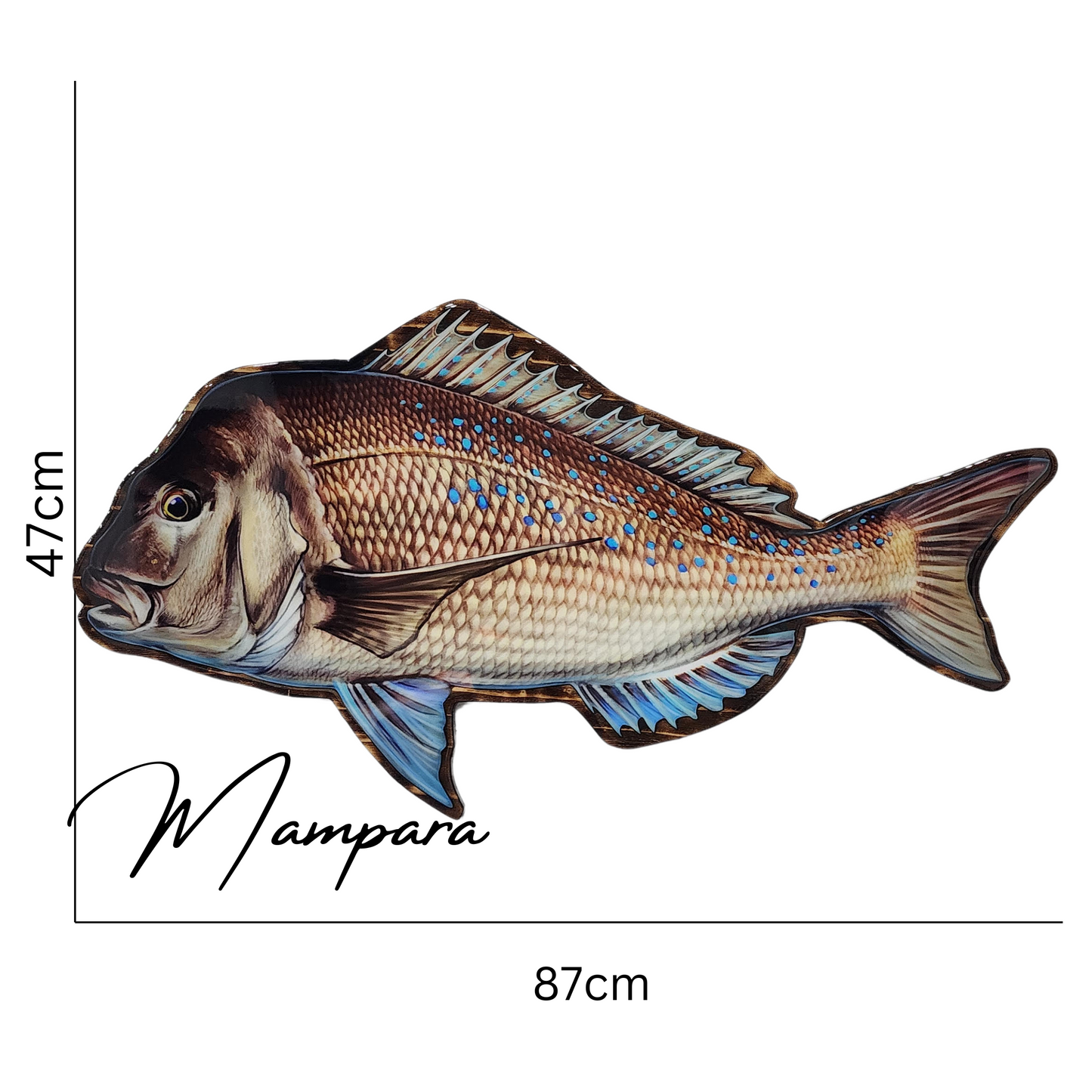 Snapper Print mount 85cm in length