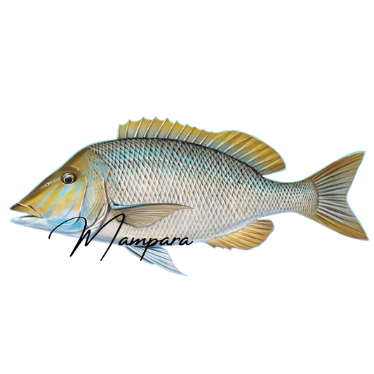 Spangled Emperor 60cm Print Mount