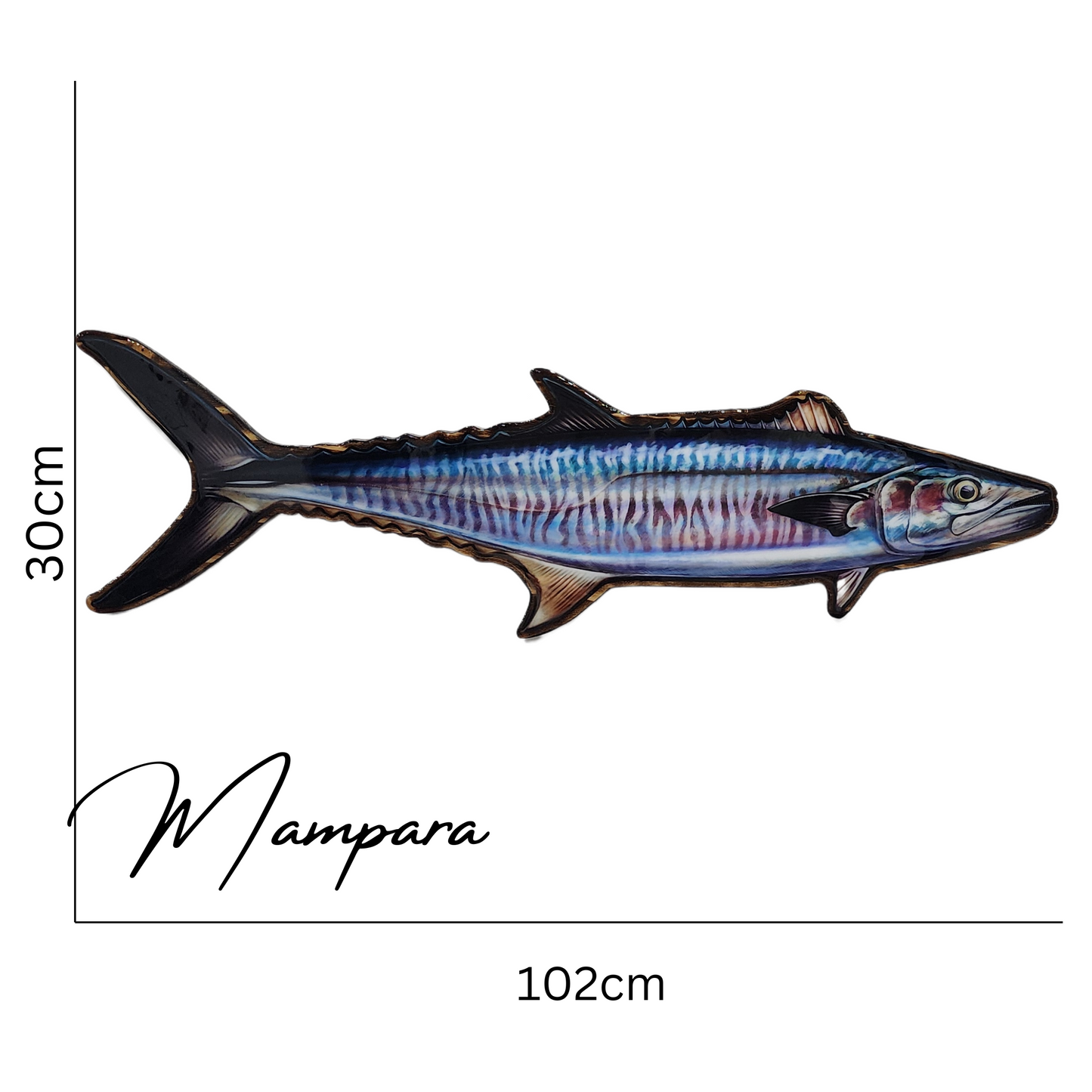 Spanish Mackerel closed Mouth Print mount 100cm in length