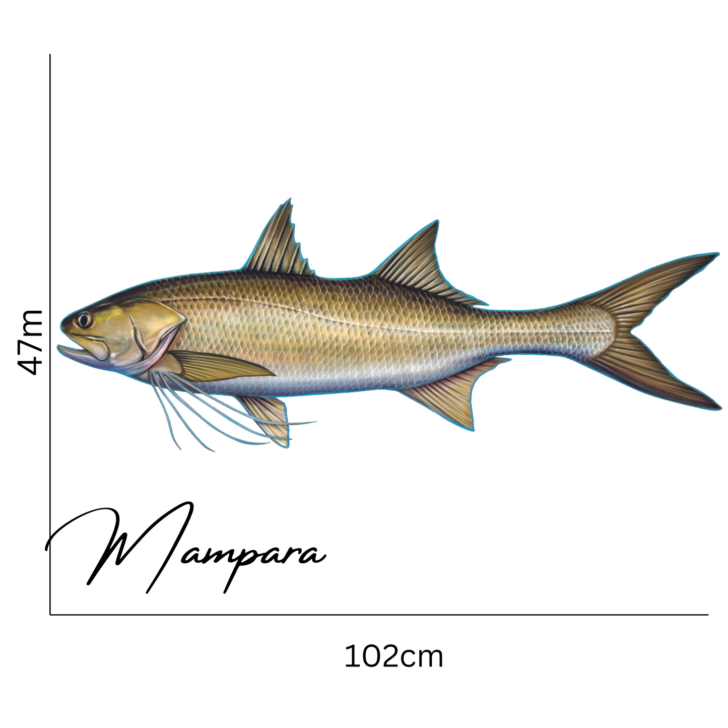 Threadfin Salmon 100cm Print Mount