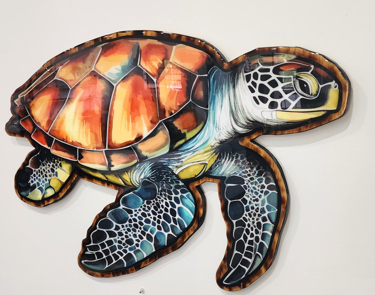 Turtle Shell Mounts Turtle 100cm – Mampara .....Australian Print Mounts