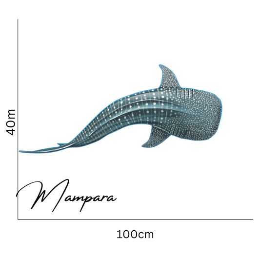 Whale Shark Top View mount 100cm