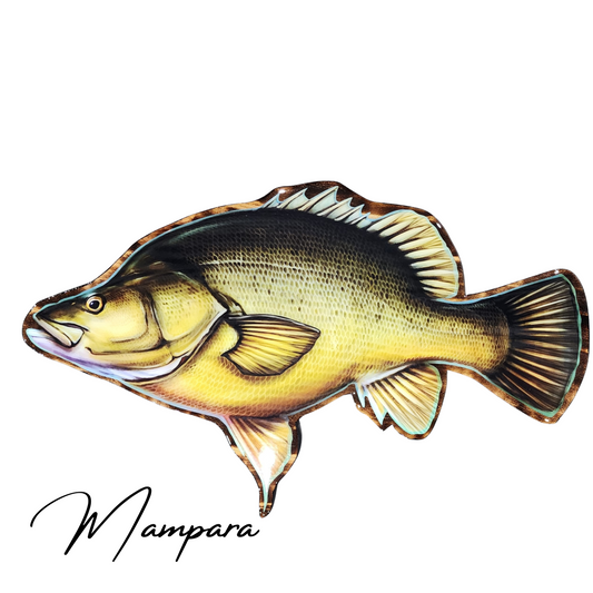 Yellow Belly 60cm Print mount