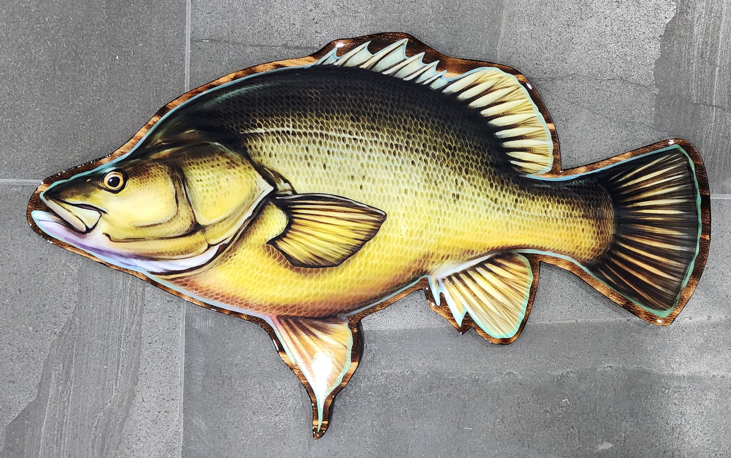 Yellow Belly 60cm Print mount