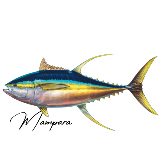 Yellowfin Tuna Print mount 100cm